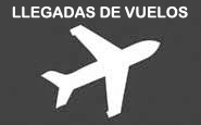 banner-llegada-vuelos